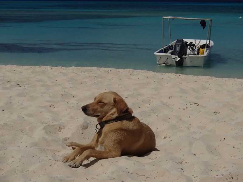 Antilles_104.jpg