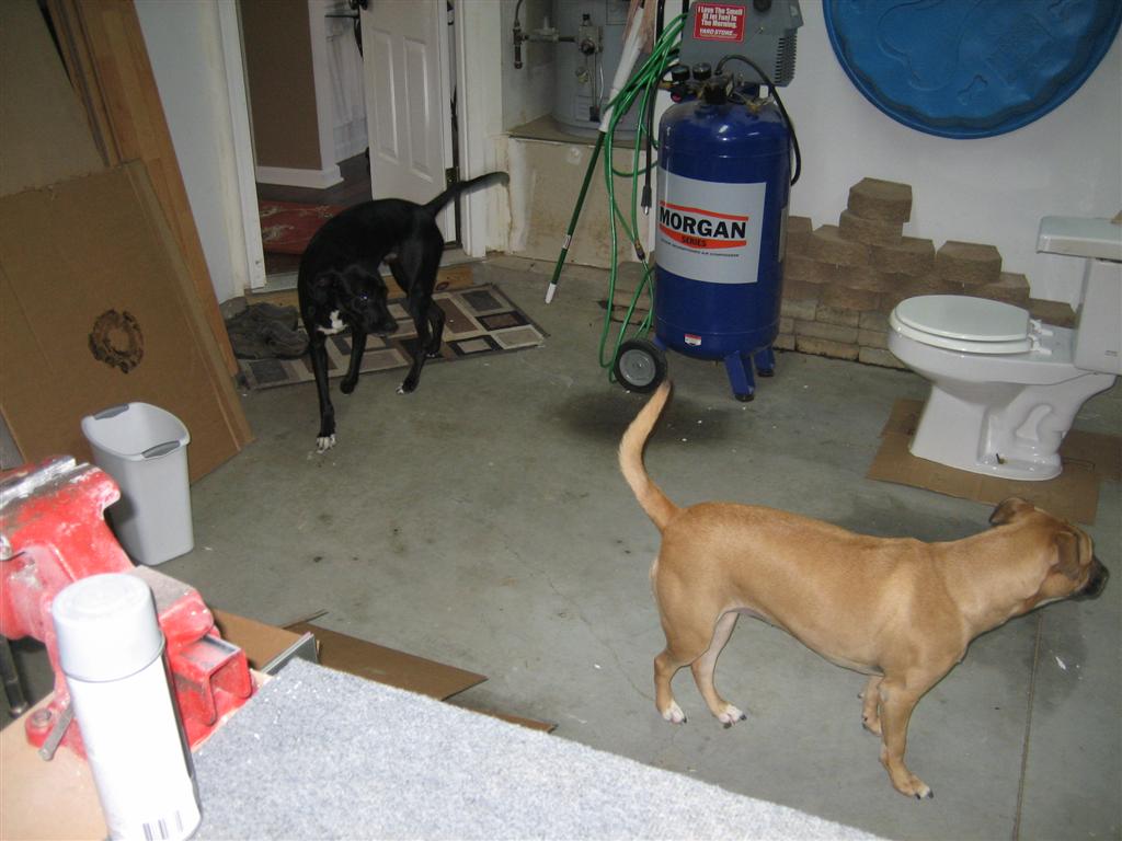 20101229-003-large.jpg