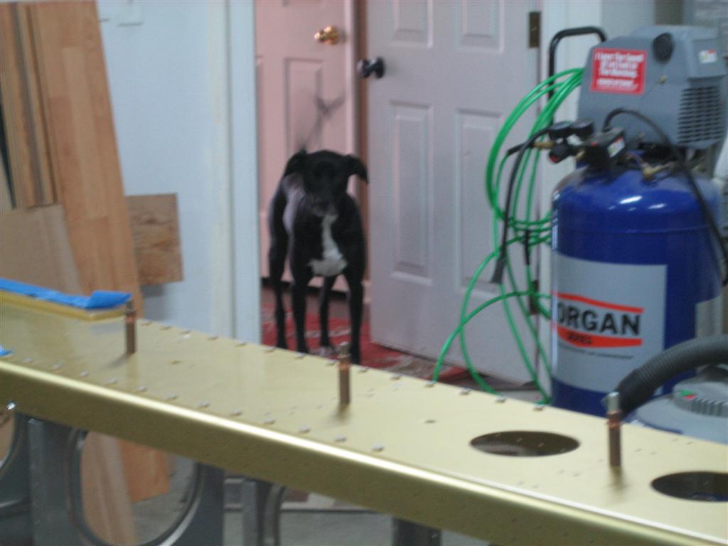 20110103-012-large.jpg