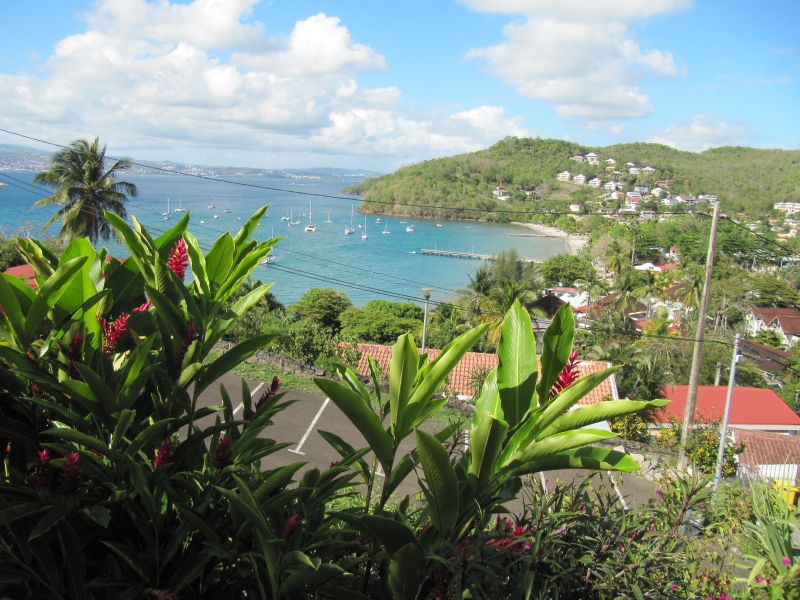 Antilles_491.jpg