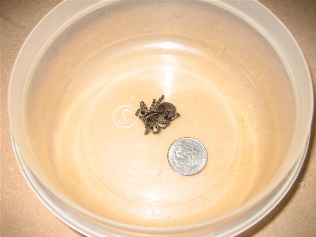 20100321-002-large.jpg