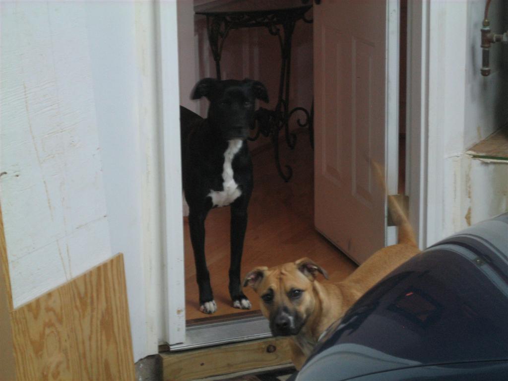 20100318-011-large.jpg