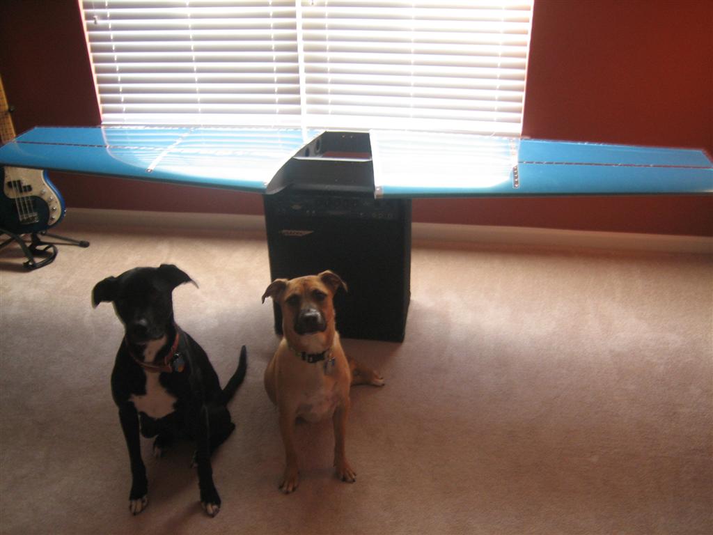 1-23-10-020-large.jpg