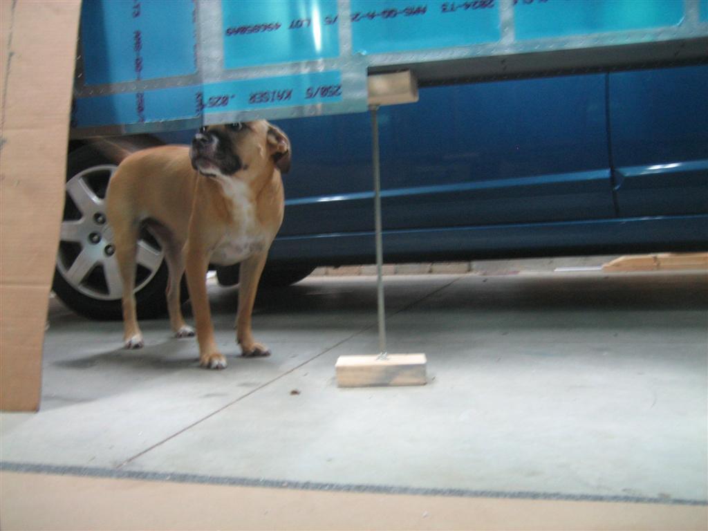 20110706-005-large.jpg