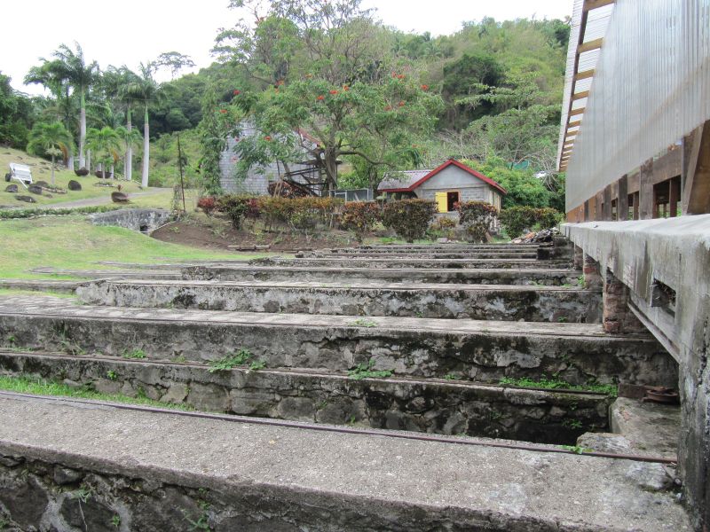 Antilles_766.jpg
