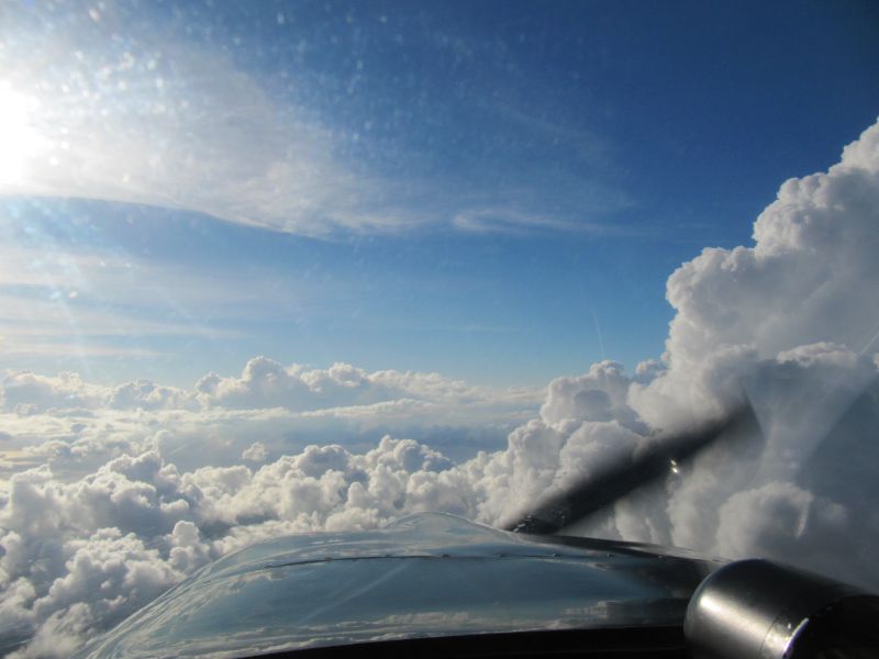 Antilles_516.jpg