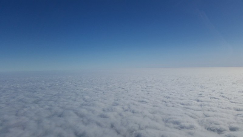 24553359193_0ab5c19046_c.jpg