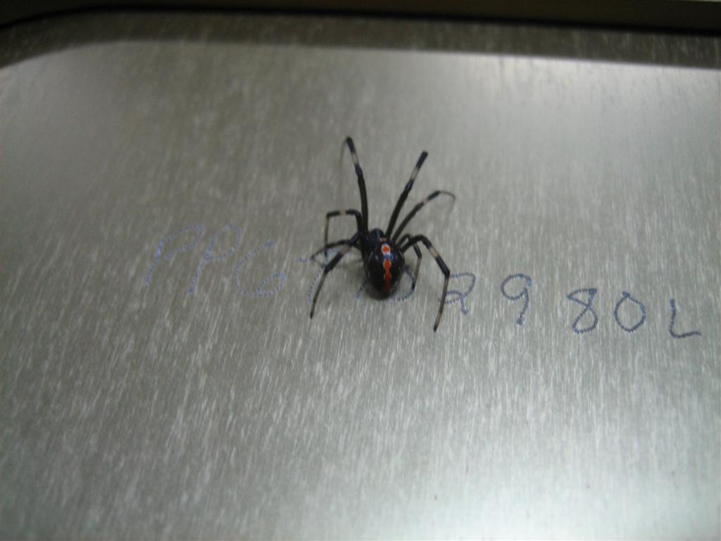 20101021-026-large.jpg