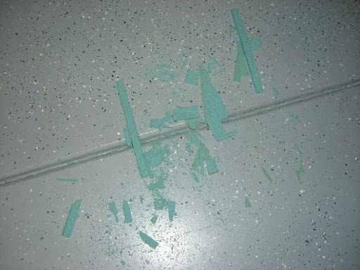 CIMG3455.JPG