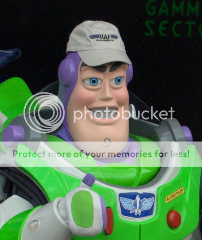BuzzCloseUp.jpg