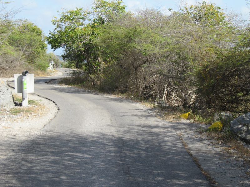Antilles_378.jpg