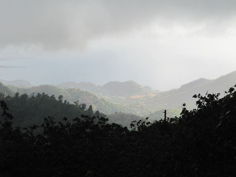Antilles_771.jpg