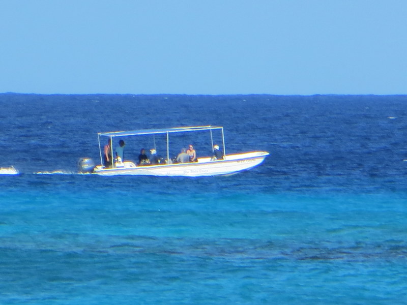 Antilles_734.jpg