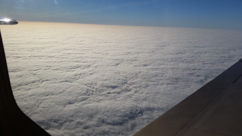 25180347645_b86615725a_c.jpg