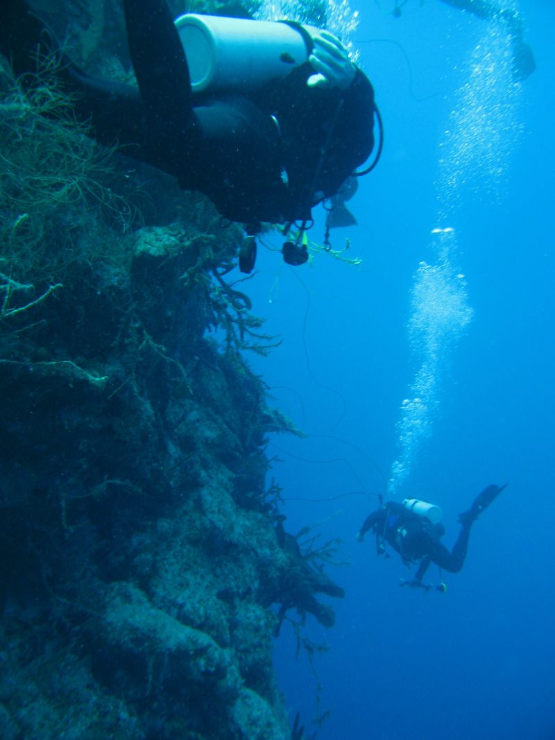 Antilles_801.jpg