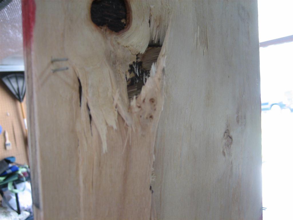 20100816-030-large.jpg