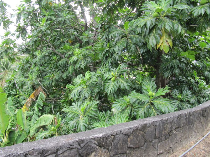 Antilles_747.jpg