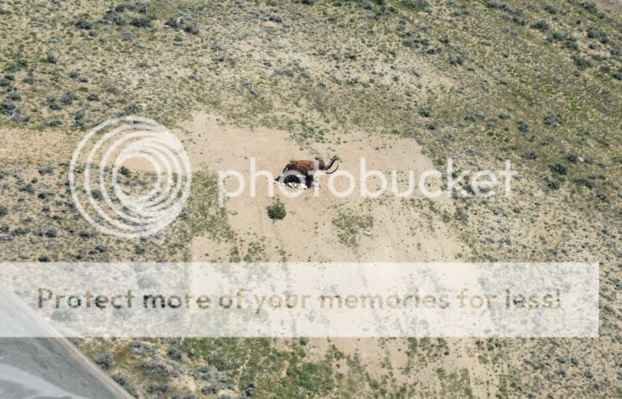 Colorado_-_1_(2).jpeg