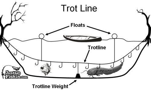 Trotline2.jpg